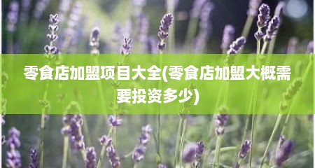零食店加盟项目大全(零食店加盟大概需要投资多少)