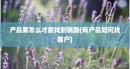 产品要怎么才能找到销路(有产品如何找客户)