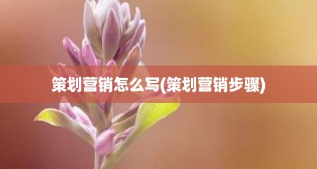 策划营销怎么写(策划营销步骤)