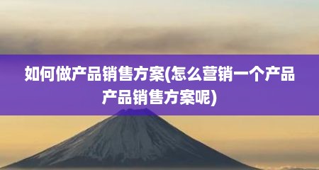 如何做产品销售方案(怎么营销一个产品产品销售方案呢)