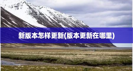 新版本怎样更新(版本更新在哪里)