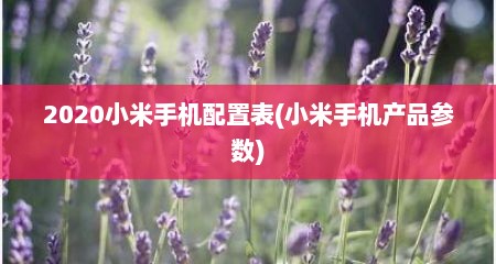 2020小米手机配置表(小米手机产品参数)