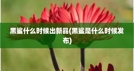 黑鲨什么时候出新品(黑鲨是什么时候发布)