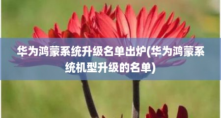 华为鸿蒙系统升级名单出炉(华为鸿蒙系统机型升级的名单)