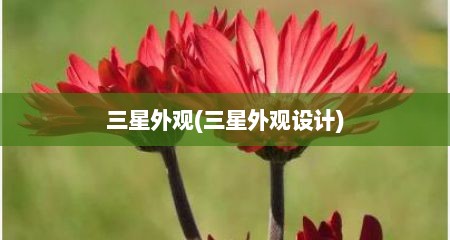 三星外观(三星外观设计)