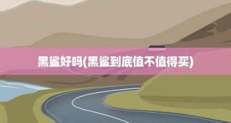 黑鲨好吗(黑鲨到底值不值得买)
