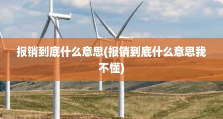 报销到底什么意思(报销到底什么意思我不懂)