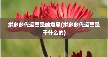 拼多多代运营是啥意思(拼多多代运营是干什么的)