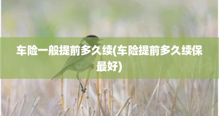 车险一般提前多久续(车险提前多久续保最好)