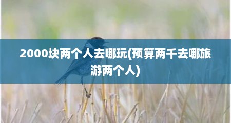 2000块两个人去哪玩(预算两千去哪旅游两个人)
