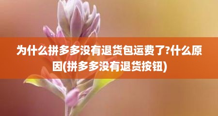为什么拼多多没有退货包运费了?什么原因(拼多多没有退货按钮)