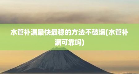 水管补漏最快最稳的方法不破墙(水管补漏可靠吗)