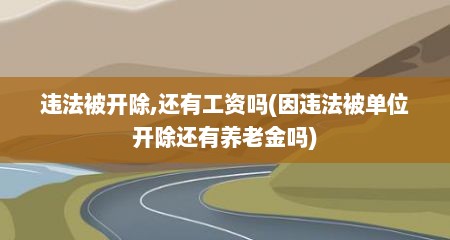 违法被开除,还有工资吗(因违法被单位开除还有养老金吗)