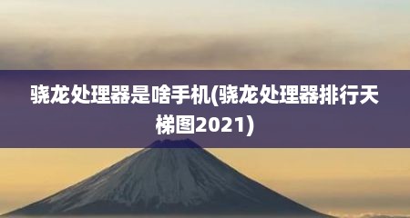 骁龙处理器是啥手机(骁龙处理器排行天梯图2021)