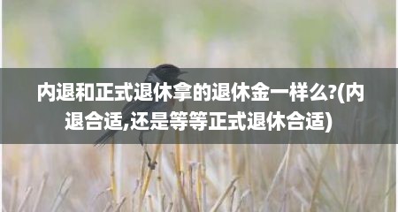 内退和正式退休拿的退休金一样么?(内退合适,还是等等正式退休合适)