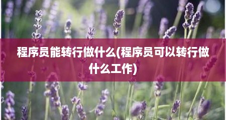 程序员能转行做什么(程序员可以转行做什么工作)