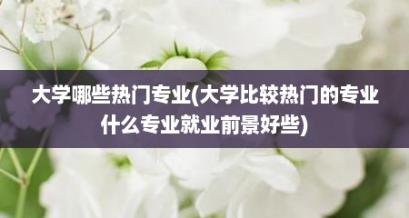 大学哪些热门专业(大学比较热门的专业什么专业就业前景好些)