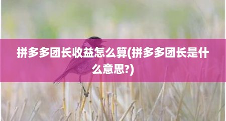 拼多多团长收益怎么算(拼多多团长是什么意思?)