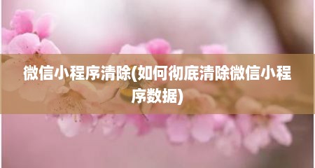 微信小程序清除(如何彻底清除微信小程序数据)
