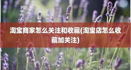 淘宝商家怎么关注和收藏(淘宝店怎么收藏加关注)