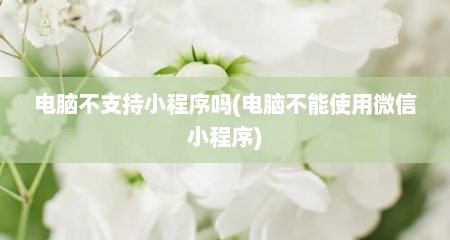 电脑不支持小程序吗(电脑不能使用微信小程序)
