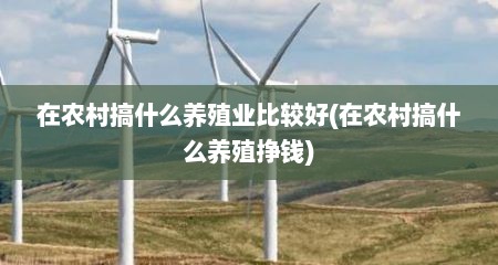 在农村搞什么养殖业比较好(在农村搞什么养殖挣钱)