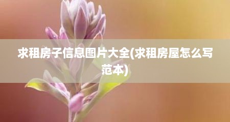 求租房子信息图片大全(求租房屋怎么写范本)
