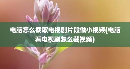电脑怎么截取电视剧片段做小视频(电脑看电视剧怎么截视频)