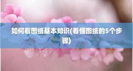 如何看图纸基本知识(看懂图纸的5个步骤)