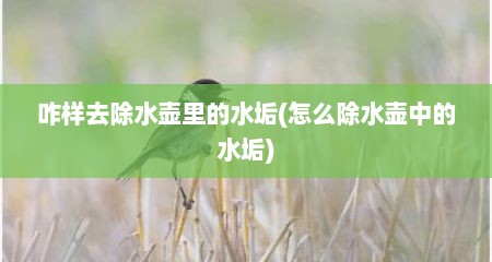 咋样去除水壶里的水垢(怎么除水壶中的水垢)