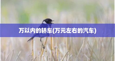万以内的轿车(万元左右的汽车)