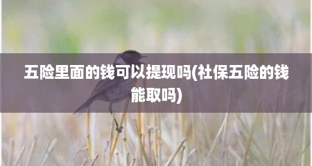 五险里面的钱可以提现吗(社保五险的钱能取吗)