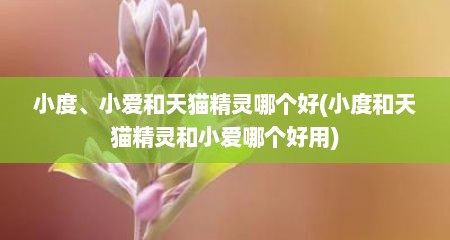 小度、小爱和天猫精灵哪个好(小度和天猫精灵和小爱哪个好用)