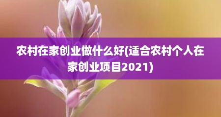 农村在家创业做什么好(适合农村个人在家创业项目2021)