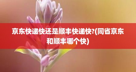 京东快递快还是顺丰快递快?(同省京东和顺丰哪个快)