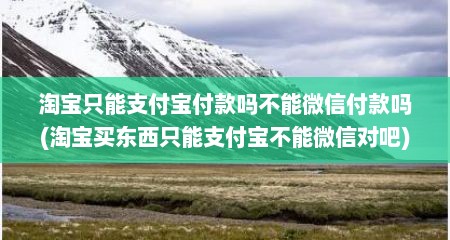 淘宝只能支付宝付款吗不能微信付款吗(淘宝买东西只能支付宝不能微信对吧)