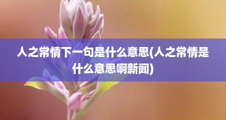 人之常情下一句是什么意思(人之常情是什么意思啊新闻)