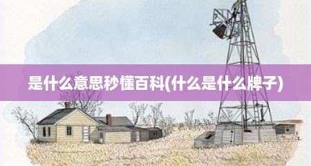 是什么意思秒懂百科(什么是什么牌子)