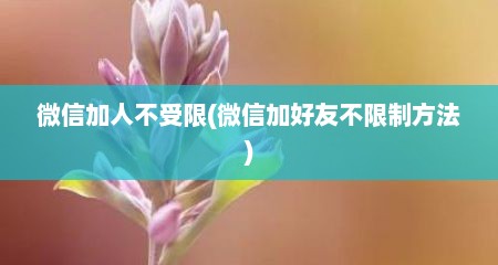 微信加人不受限(微信加好友不限制方法)