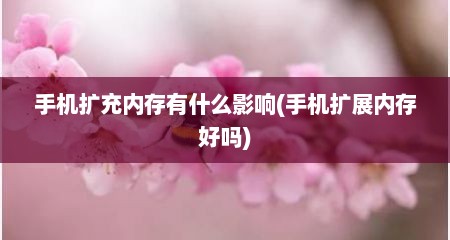 手机扩充内存有什么影响(手机扩展内存好吗)