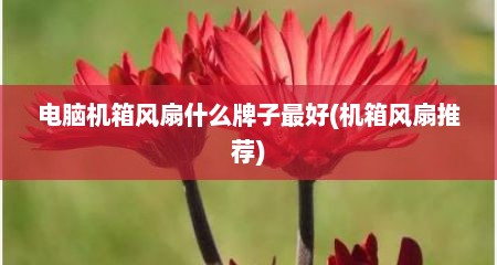 电脑机箱风扇什么牌子最好(机箱风扇推荐)