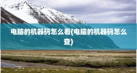 电脑的机器码怎么看(电脑的机器码怎么查)