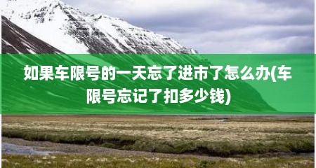 如果车限号的一天忘了进市了怎么办(车限号忘记了扣多少钱)
