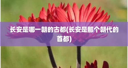 长安是哪一朝的古都(长安是那个朝代的首都)