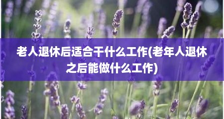 老人退休后适合干什么工作(老年人退休之后能做什么工作)