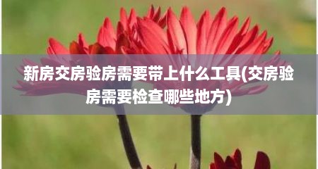 新房交房验房需要带上什么工具(交房验房需要检查哪些地方)