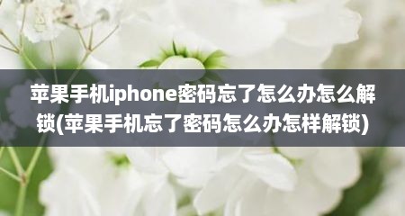苹果手机iphone密码忘了怎么办怎么解锁(苹果手机忘了密码怎么办怎样解锁)