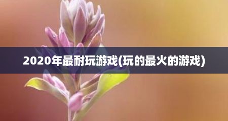2020年最耐玩游戏(玩的最火的游戏)