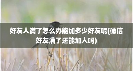 好友人满了怎么办能加多少好友呢(微信好友满了还能加人吗)