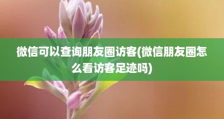 微信可以查询朋友圈访客(微信朋友圈怎么看访客足迹吗)